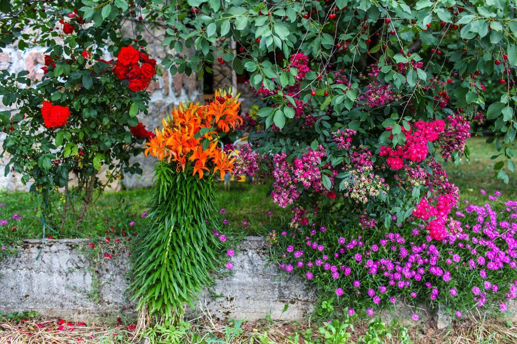 Ana Stjepan Nikolic - Pilgrim'S 2Nd Home Medjugorje Exterior foto